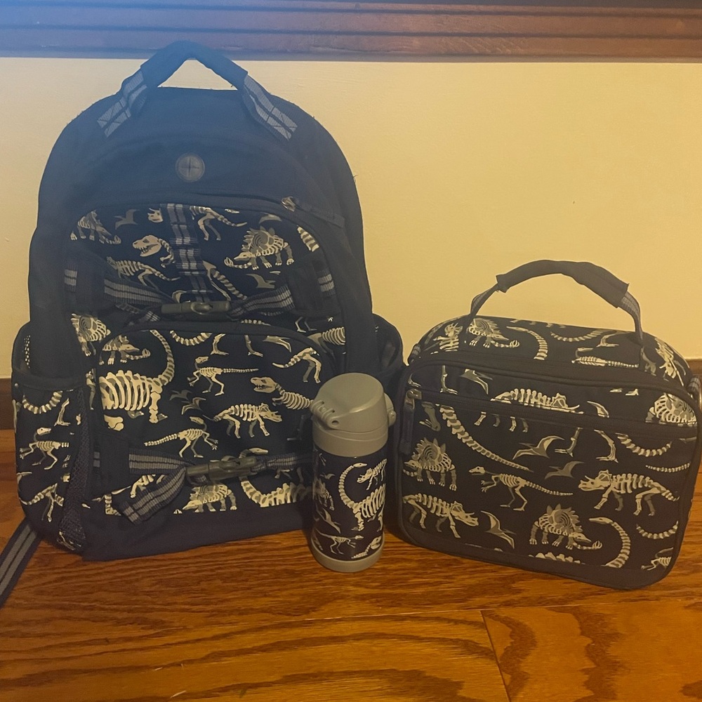 POTTERY BARN KIDS MACKENZIE NAVY DINO BONES GLOW-IN-THE DARK SET